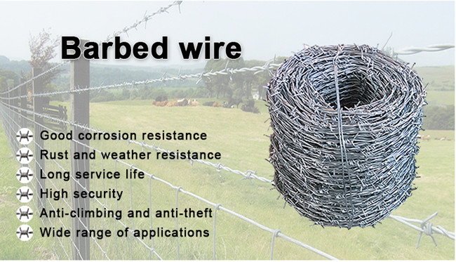 Class 1 Standard 12.5 Guage Galvanised Steel Barbed Wire 2 Points 5 Inch Spacing