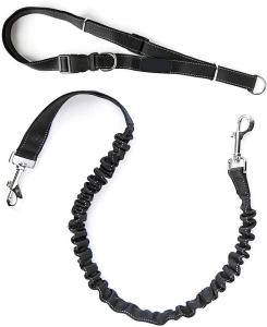 Quality Lightweight Reflective Dog Leashes 100% Nylon Eco Friendly Bungee Dog Leash for sale