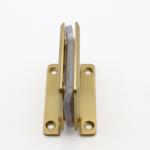 Adjustable Brass Pivot Wall Glass Hinge for Glass Door Pivot Hinges in 90*55mm