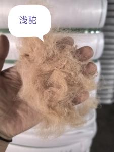 Quality Recycled Polyester Staple Fiber 3D 51mm UV Resistant for sale