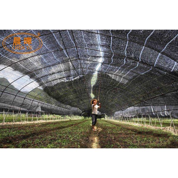 Agriculture Shade Net Knitting Machine High Performance Automatic Warp Knitting Machine