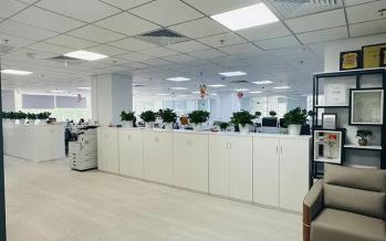 Hong Kong Starsurge Group Co., Limited