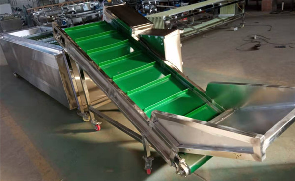 mushroom sorting machine,mushroom grading machine,walnut sorting machine,walnut grading machine