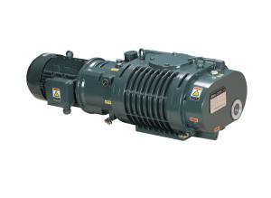 Quality BSJ300L Freeze Drying Vacuum Pump Vacuum Roots Pump 1000M3/H for sale