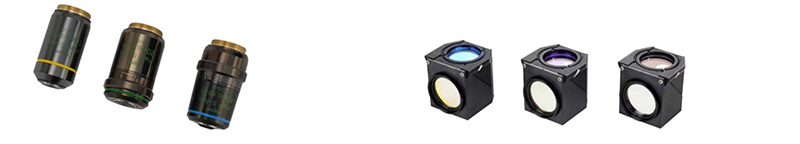 OPTO EDU A16.1099 Full Auto Semi-APO Inverted Fluorescent Microscope