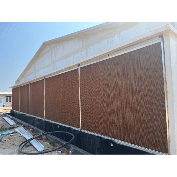 Corrosion Resistant Energy Saving Automatic Feed Poultry Ventilation System for Chicken House