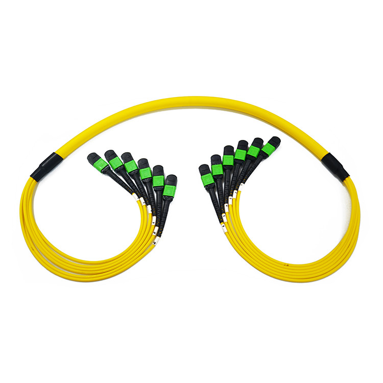 SM MM Fan Out MTP MPO Fiber Patch Cable 12 / 24 Fiber