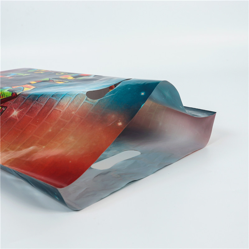LDPE Patch Printed Plastic Bag