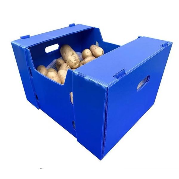 Rectangular PP Corrugated Sheet Box Recyclable Foldable Plastic Box Blue