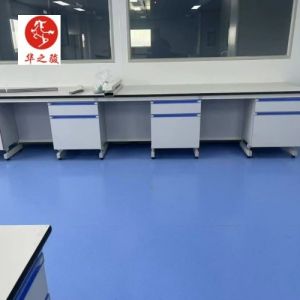 Customized Made Integrated Modular Lab Furnitures Deisign Customizable and