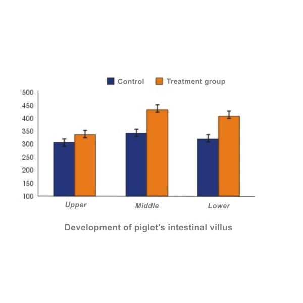 Powder Form 20bln cfu/g Probiotics For Animal Piglet