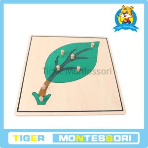 Quality Montessori wooden puzzles,Leaf Puzzle for sale