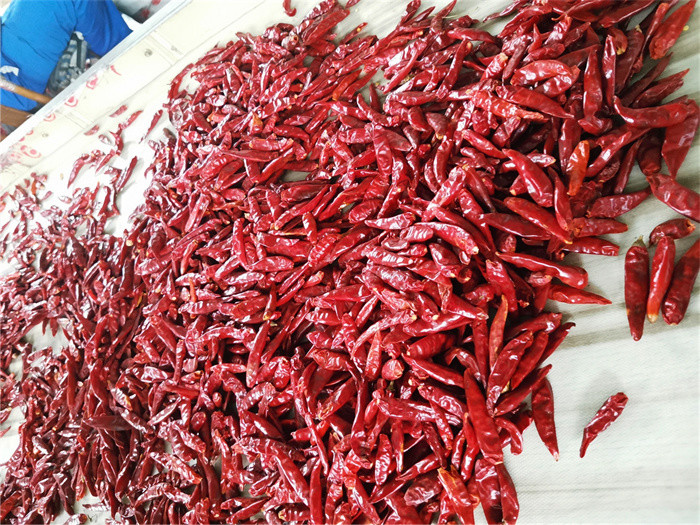 Tianjin Red Chilies Authentic Spicy Flavor from China