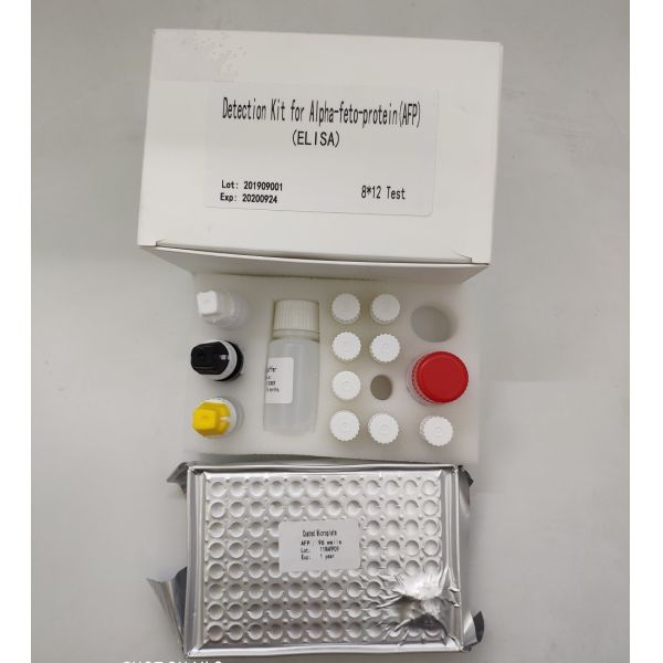 96 Hbsag Diagnostic Human Elisa Kit High Accurate