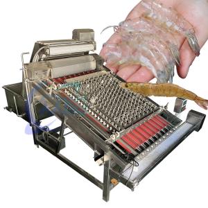 Quality Industrial Prawn Deshelling Machine 3000W Stainless Steel 304 for sale