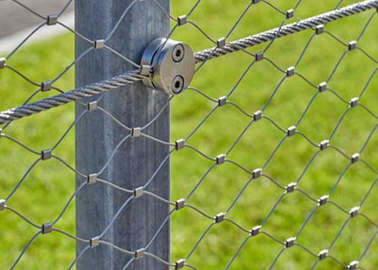 Aviary Wire Mesh SS316 50*50mm Aviary Netting For Animal Poultry Cage