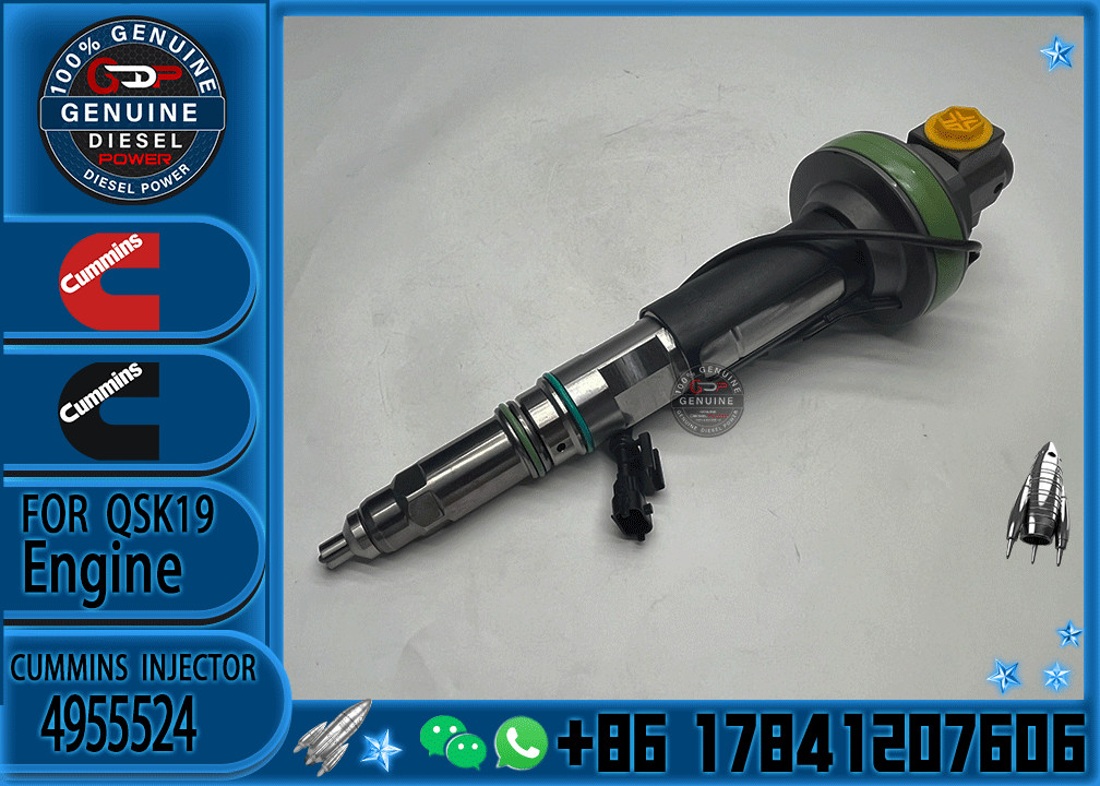 4964170 Diesel QSK19 Engine Common Rail Fuel Injector 4955524 2867149 4955527 2882079 4964173