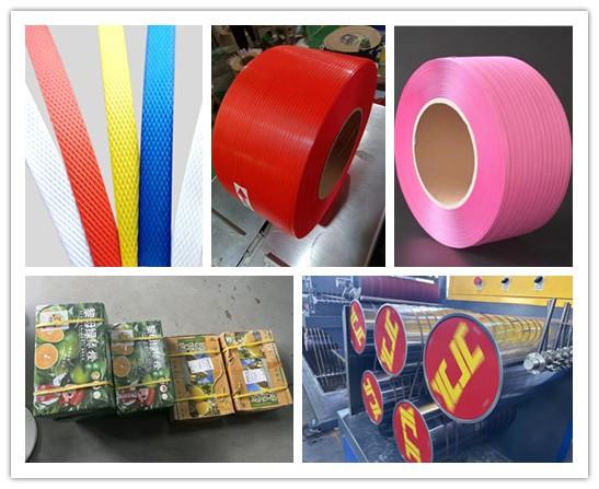 Industrial Use Packing Strap Pet Band Belt With High Strength Tension
