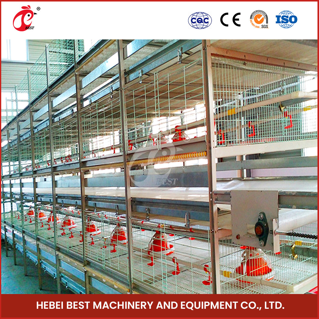 High Durability Poultry Broiler Chicken Cage System 112 Birds Iris