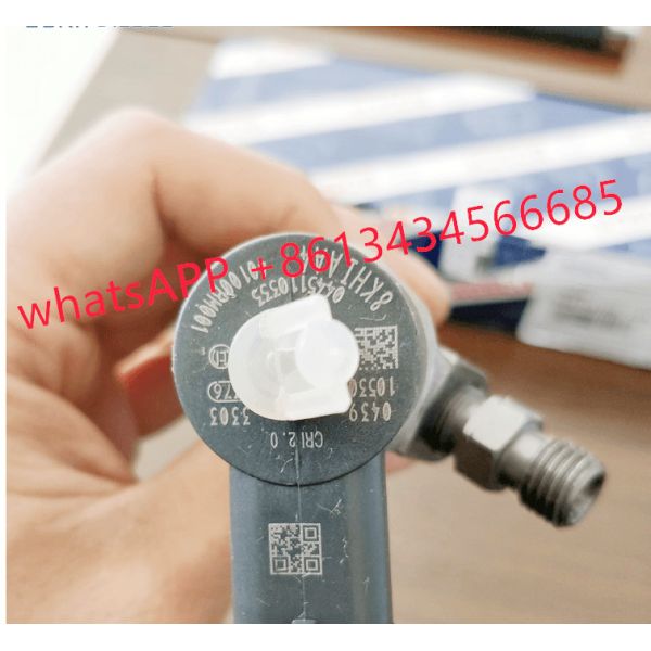 0445110333 Delphi Diesel Fuel Injectors Common Rail 28229873