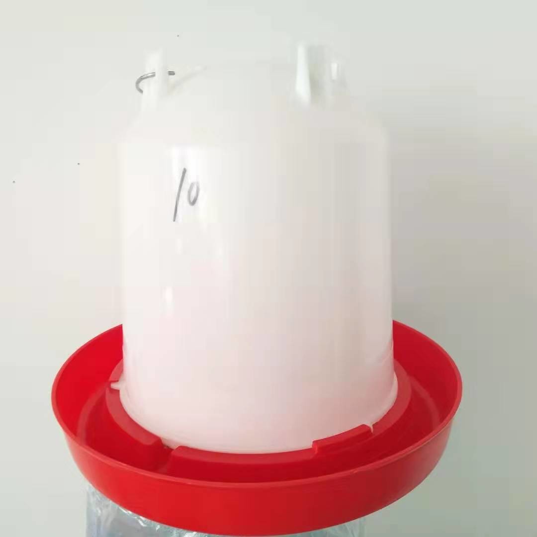 8L Pigeon Broiler Floor Baby Chick Water Feeder