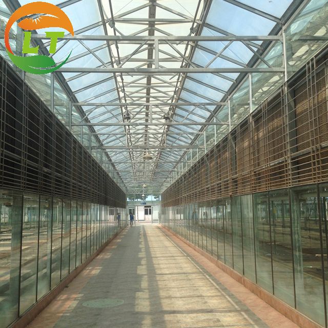 Multi-Span Agricultural Greenhouses with Hot-Dip Galvanized Steel and Smart System