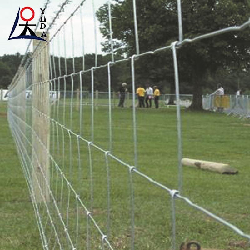 Goat Farming Cattle Sheep Railing Fence Metal Fixed Knotted Iron Wire Mesh