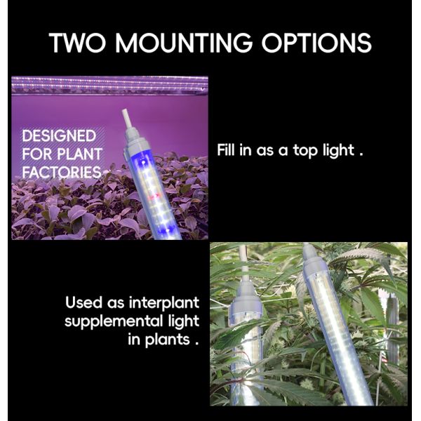 4FT 0.9M 1.2M 12W 18W 25W 36W T8 LED Tube Lights Indoor Vertical Farm 6500K 460nm 660nm