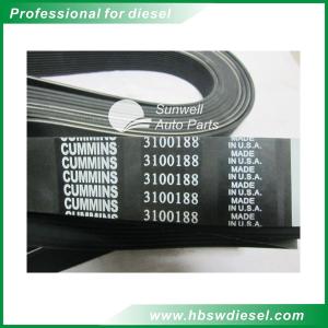 Quality QSX15 engine Belt V Ribbed 3100188 for sale