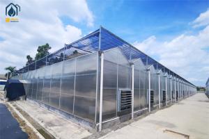 Quality Crop Growth Polycarbonate Greenhouse With Snow Resistant Aluminum Frame for sale