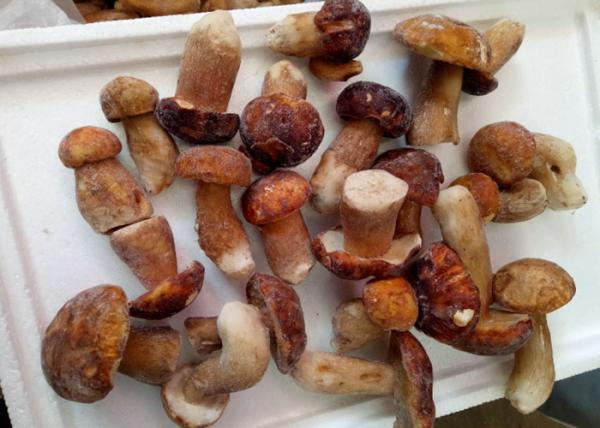 Buy IQF Individually Quick Freezing Wild Boletus Edulis Whole In Nature Color at wholesale prices