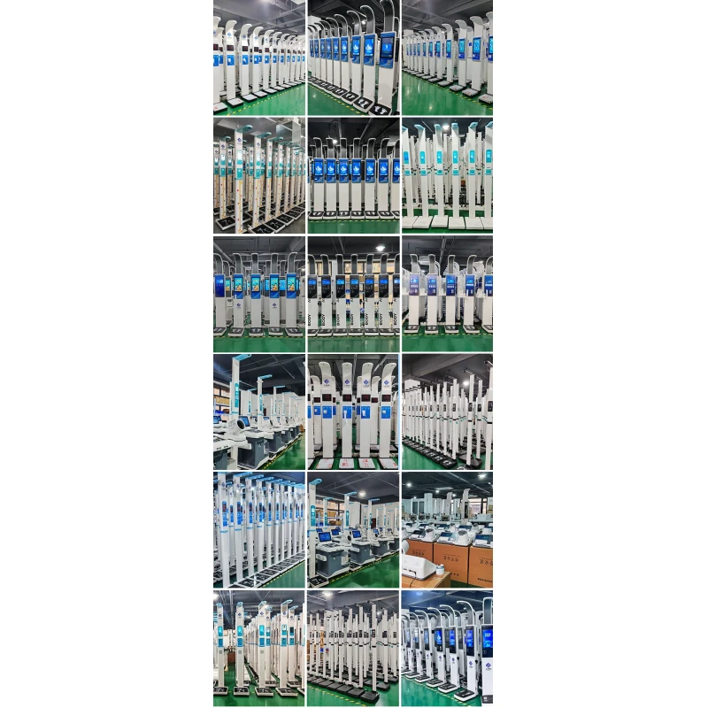 SH-10F Professional Body Composition Analyzer Machine