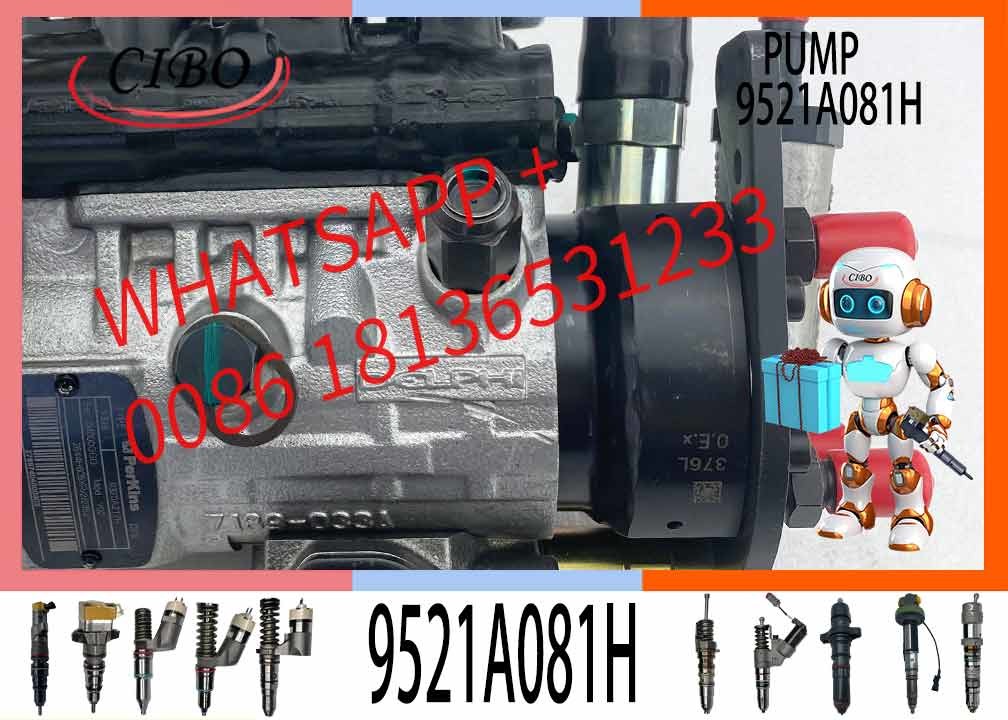 Diesel Fuel Injector Pump 9521A080H 9521A081H For Engine 6 Cylinder 4493641