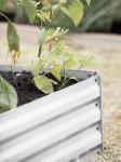 Farmhouse 80x30cm Raised Metal Garden Bed For Flower