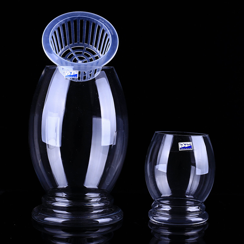 Glass hydroponic vase flowerpot transparent dinosaur egg green bamboo bamboo fish aquarium vessel containers