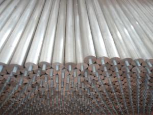 Quality Solar Water Heater Element Magnesium Rod Water Heater Spare Parts for sale