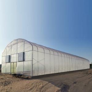 Quality Commercial Metal Frame Agriculture Plastic Film Greenhouse With Hydroponic System for sale