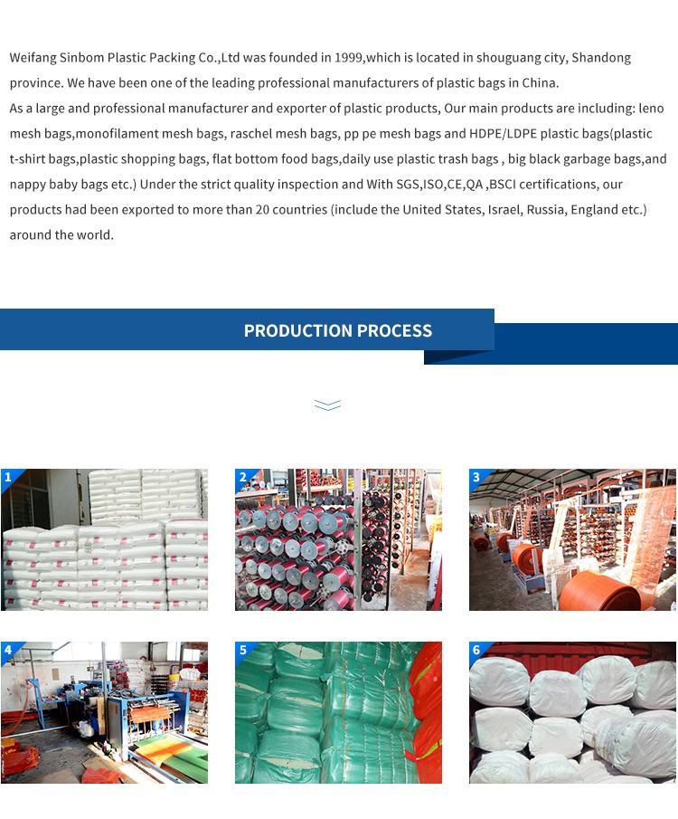 Rashel Fruit Garlic PE Wire Mash Net Bag For Acceptable Customer Logo