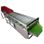 Fruits And Vegetables Sorting Machine Potato Garlic Grader Sorter For Sale