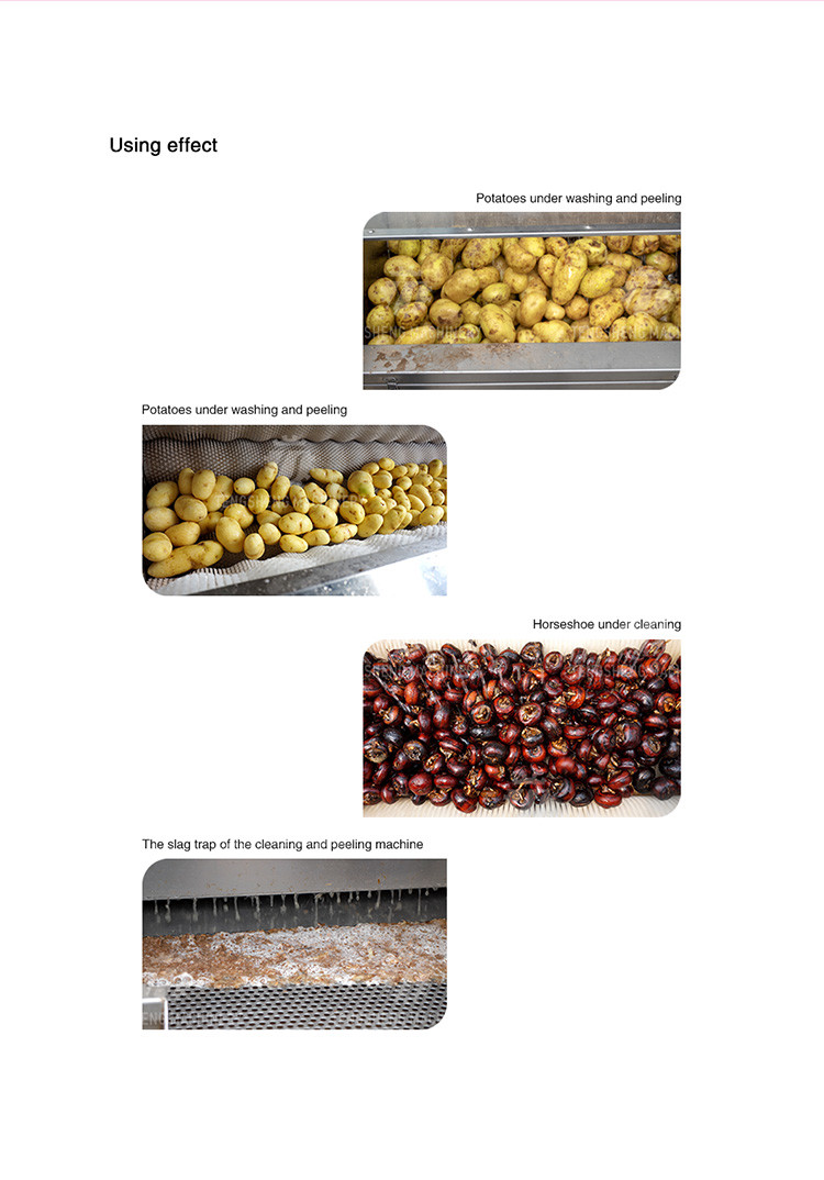 360KG Hair roller cleaning machine wavy brush Cassava cleaning machine commercial ginger peeling machine