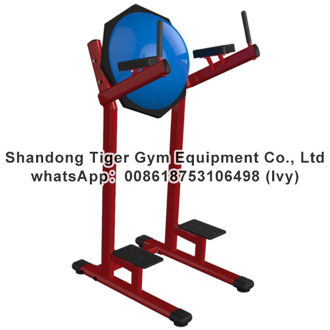Gym Fitness Equipment Chin /Dip /Leg Raise exercise machine