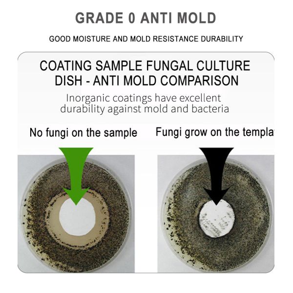 Ecofriendly Water Based Paint Wearresistant Good Adhesion For Building Wall Covering