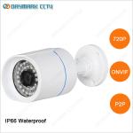 Motion Detective P2P Mini Bullet Network Security Cam