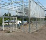 Lightweight Prefab Steel Framed Agricultural Buildings Metal Cattle Shed CE