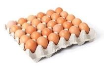 Small Capacity Energy-Saving Egg Tray Making Machine Carton Producing Machine PLC Control Simple Type for Paper Product Making