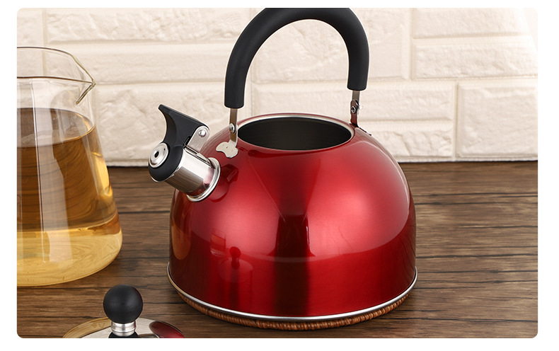 Household stainless steel electric OEM tea pot hot water whistling kettle