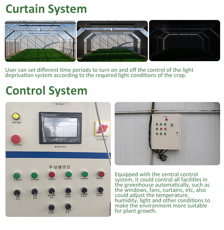 LED Lighting System Light Deprivation Greenhouse for Growing Crops